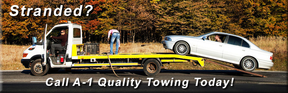 Battery Jump Starts Nephi UT